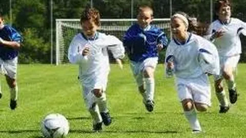 12支国内阵容球队征战CBA赛事