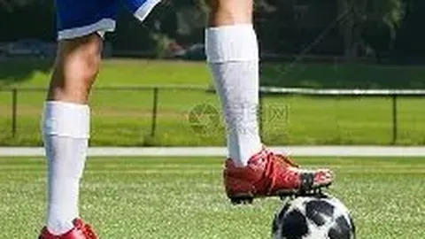 澳门威尼斯人官网 产品 113130 rtf