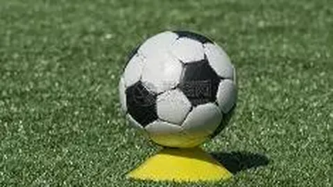 澳门威尼斯人官网 资讯 140212 661